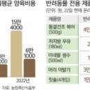 강남종합동물병원 이미지