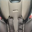 백조 명품 세탁 이미지