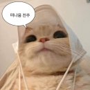 사랑애 선물 | ep. #숨 참고 전주로 럽다입-