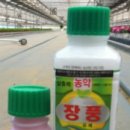 장진천길 이미지