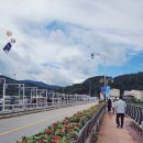 장돌뱅이 5일장 | 강원도 봉평 효석문화제- &#39;메밀꽃 필 무렵&#39; 소설의 배경 메밀꽃밭 풍경