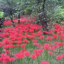 가오근린공원 이미지