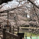 오가네족발 이미지