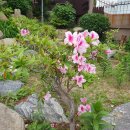 지에스25 영도미주점 이미지