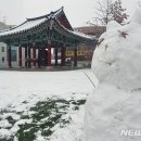 춘천시청 뉴시스