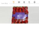 청과원 - 화성시 쌍봉로 298 | 겨울엔 딸기! 청과원에서 맛 좋은 과일 구매 후기