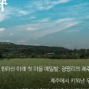 단비식당 - 김해시 | 단비식당