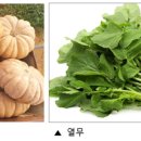 [야생초 편지] 51. 대구교도소로 이감, 늙은 호박과 열무 이미지