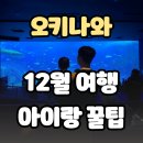 진호전기조명 | 12월 오키나와 겨울 날씨 옷차림과 아기랑 여행 준비물 꿀팁 및 일정