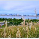 배곧생명공원 이미지