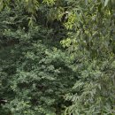 시냇가 하얀집 이미지