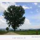 느티나무목장 이미지