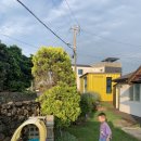 작은집 요기 이미지