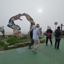 석양을 품은 물고기 이미지