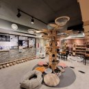 냥카페 묘연 이미지