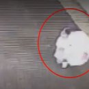 아장아장 어린이집 이미지
