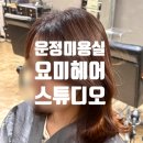 라라코스트 | 파주운정미용실 | 목동동 요미헤어 선율디자이너 뿌리염색 후기