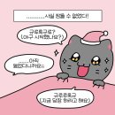 주은팜 | 11/10~11/16 야구보러 도쿄가기