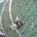 살구골낚시터 이미지