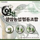 영천양잠협동조합 이미지