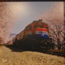 공설운동장(서편) 이미지