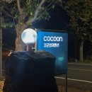 코쿤협재펜션 | 제주 협재 코쿤협재펜션 201호, 가성비 숙소 내돈내산 리뷰