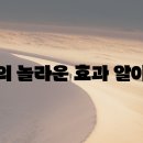 녹즙사천