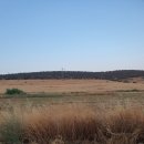우물가빨래터 | 거꾸로 쓰는 은의길 후기 6일 차_Calzadilla de los Barros-Zafra