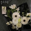 플로르연