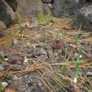 우도농장 이미지