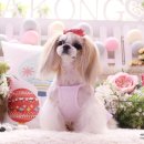 아콩하우스 이미지