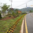 창대주유소 이미지