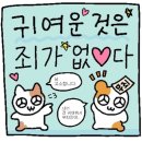 윤정정육점