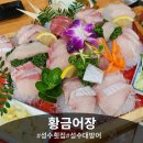 황금어장 | 성수에서 겨울 제철 대방어는 여기! 성수역횟집 '황금어장'방문후기 🐟
