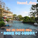패밀리실내골프연습장업 | 부산 롯데호텔 수영장 리뉴얼✨블루헤이븐 이용, 아이랑 즐긴 호캉스 꿀팁 총정리 부산서면호텔추천