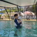 바바러브 | 19개월 아기랑 다녀온 ‘사천 비토애 럭셔리글램핑 시즌2’ 후기! (물놀이, 바비큐 무한리필, 여름 밤바다)