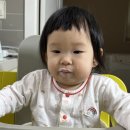 사노피 파스퇴르 노동조합 | 돌아기 우유량 우유거부 해결 칼슘 우유컵 추천