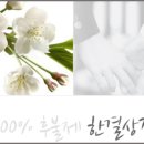 한결상조서비스 이미지
