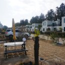 제주도 서귀포독채펜션 제주 표선 561펜션 방문 후기