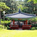 상주 복룡동 유적 이미지