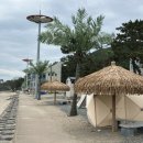 관성솔밭해변 이미지