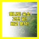 라임호텔 | 팔라완 엘니도 숙소 고민 끝! 리힘, 가든, H 호텔, 라임 리조트 비교 분석!