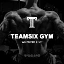 팀식스짐 이미지