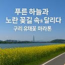 🏃‍♂️ 2025 구리 유채꽃 마라톤 후기 | 푸른 하늘과 노란 꽃길 속을 달리다