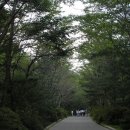 풀빛향기 이미지