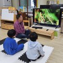 봉오초병설유치원 이미지