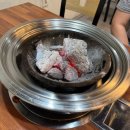 통갈매기바다로날다