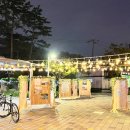 도봉-도봉-2025 이미지