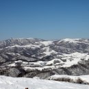 인구목장 이미지