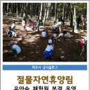 절물자연휴양림 유아숲체험원 이미지